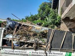 Shed Removal in Leland, MS